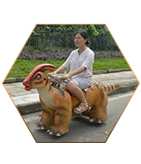 Rides & Interactive