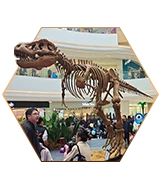 Skeleton