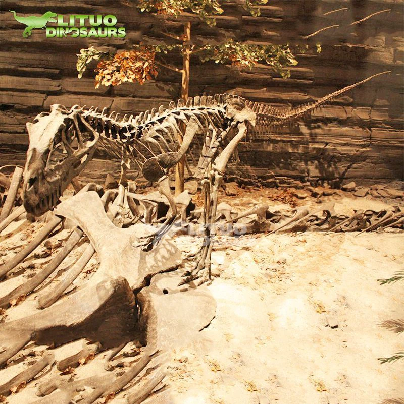 Squelette de Ceratosaurus