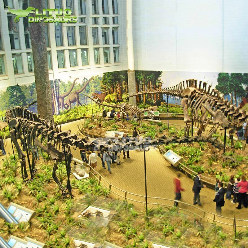 Squelette de Diplodocus