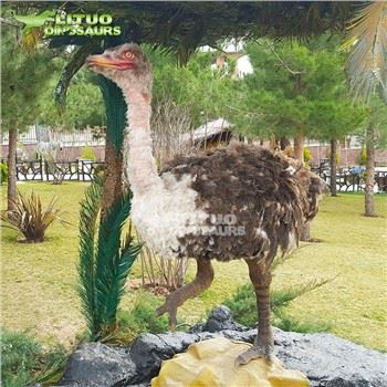 Autruche animatronique